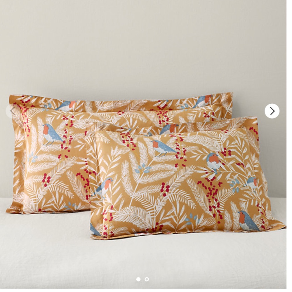 GARNET HILL Colorful Bird Organic Cotton Sham NWT